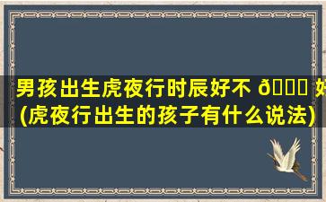 男孩出生虎夜行时辰好不 🐟 好(虎夜行出生的孩子有什么说法)